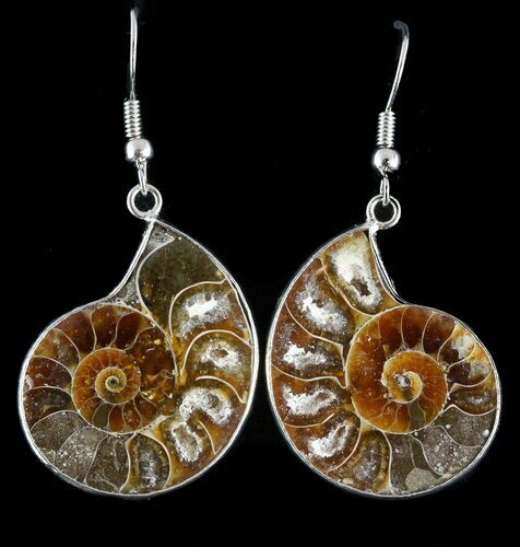 Fossil Ammonite Earrings - Million Years Old #48829